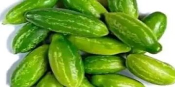 Kundru is a lifesaver in summers, will take care of heart and stomach.