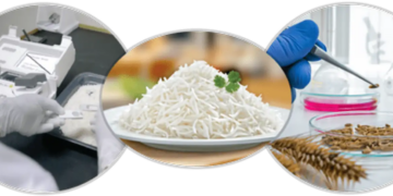 Lab-Made Rice: Now rice is being grown in the lab, know how different it is from normal rice and its advantages and disadvantages.