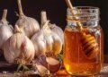 Mixture of honey and garlic is a lifesaver for health, beneficial in heart diseases.