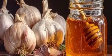 Mixture of honey and garlic is a lifesaver for health, beneficial in heart diseases.