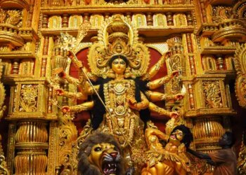 Navdurga resides in these nine Ayurvedic medicinal plants, it is a boon for health.