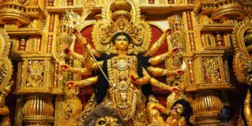 Navdurga resides in these nine Ayurvedic medicinal plants, it is a boon for health.
