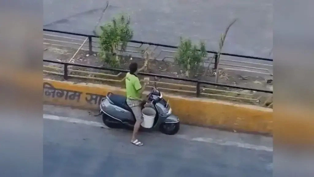 'No noise, no drama...' This simple video won the hearts of users, watching it will make your day