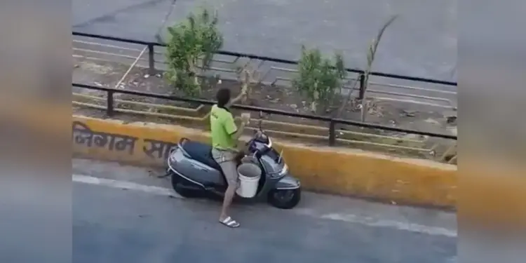 'No noise, no drama...' This simple video won the hearts of users, watching it will make your day