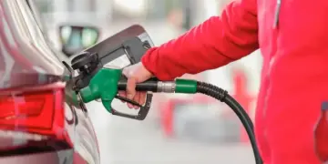 Petrol Diesel Price Update: What is today's rate from metros to small cities? See complete details here