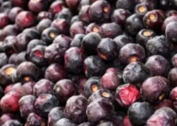 Phalsa improves heart health by strengthening digestion, no less than a boon in summers.