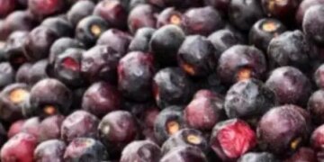 Phalsa improves heart health by strengthening digestion, no less than a boon in summers.