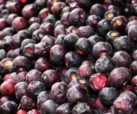 Phalsa improves heart health by strengthening digestion, no less than a boon in summers.