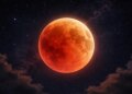 Take precautions in the house on the day of eclipse: Do not forget to remove these 4 things from the house, otherwise problems and stress will increase.