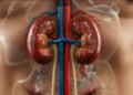 The body gives many warnings before kidney damage, ignoring them can be costly.