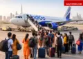 UAE Flight Update: Indigo flights start for Dubai, 26 special flights will run for stranded passengers