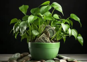 Vastu Upay: To overcome the lack of money in the house, plant this plant in this direction, you will immediately feel the changing results.