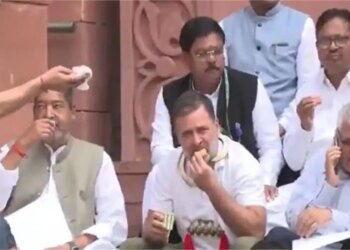 Violation of discipline in Parliament? Ex-servicemen demand public apology for eating tea and biscuits on Rahul Gandhi stairs