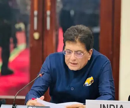 WTO reforms must be inclusive and member-driven: Piyush Goyal