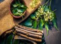 World Oral Health Day: Teeth are 100 times better than brush, use from Neem to Jamun as per season.