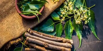 World Oral Health Day: Teeth are 100 times better than brush, use from Neem to Jamun as per season.