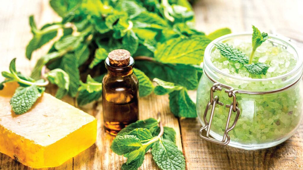 ≡ 6 Ayurvedic Beauty Brands You Should Know About 》 Her Beauty