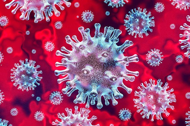 ≡ 8 reasons for the deadly second wave of COVID in India ➤ Brain Berries