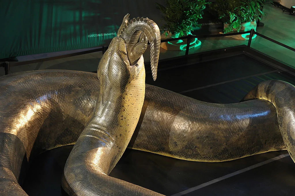 ≡ Which snake is bigger, Titanoboa or Anaconda? Know the difference between these two! ➤ Brain Berries