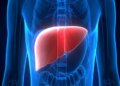 AYUSH Ministry's suggestion for healthy liver, adopt Ayurvedic diet and mindful eating