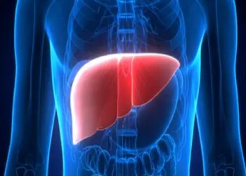 AYUSH Ministry's suggestion for healthy liver, adopt Ayurvedic diet and mindful eating