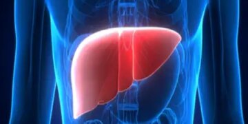 AYUSH Ministry's suggestion for healthy liver, adopt Ayurvedic diet and mindful eating