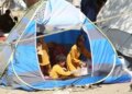 Afghanistan is the fifth most affected country in the world due to food crisis: report