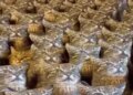 After all, what do cats jump at? Know the truth of the viral video