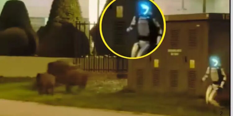 After humans, now AI has overpowered animals too, robot made wild pigs run like this... video went viral