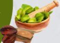 Arjuna bark is helpful in controlling blood pressure and cholesterol.