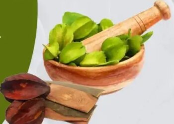 Arjuna bark is helpful in controlling blood pressure and cholesterol.