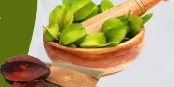 Arjuna bark is helpful in controlling blood pressure and cholesterol.
