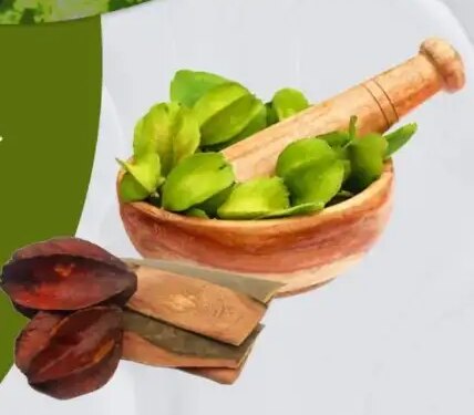 Arjuna bark is helpful in controlling blood pressure and cholesterol.