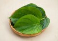 Betel leaf is helpful in controlling increasing uric acid, provides relief from swelling and gum pain.