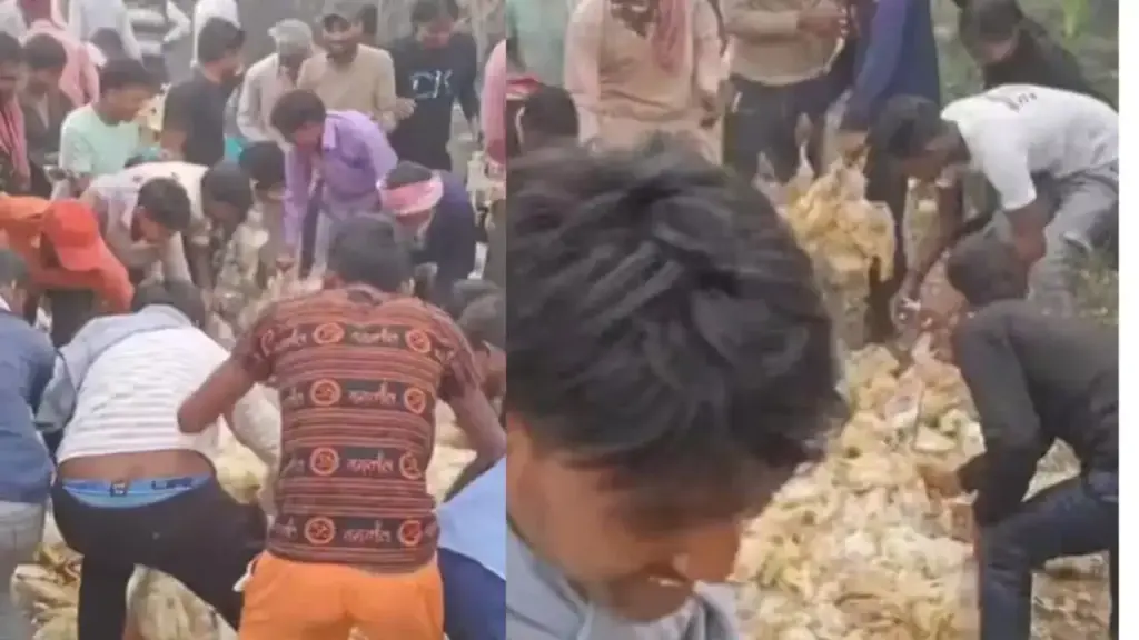Crowd gathered on dead chickens on the roadside, people were shocked to see the scene
