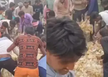 Crowd gathered on dead chickens on the roadside, people were shocked to see the scene