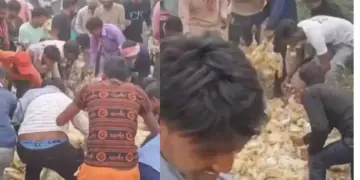 Crowd gathered on dead chickens on the roadside, people were shocked to see the scene