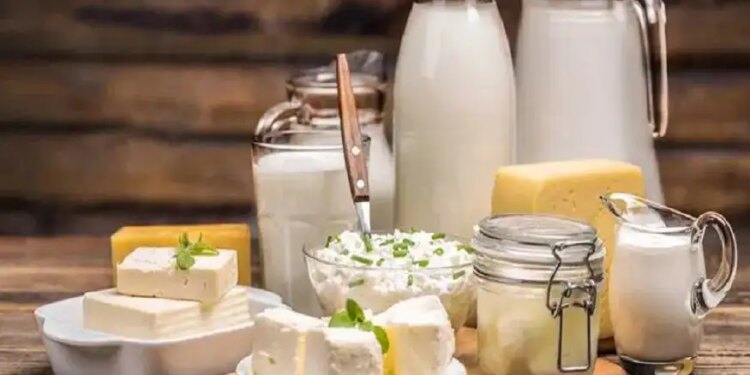 Dairy Products Price: Will milk, curd and cheese become expensive amid war? Government made its stand clear