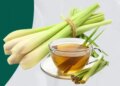 Delicious herb: From skin cleansing to immunity boost, there are many benefits of consuming 'lemon grass'.