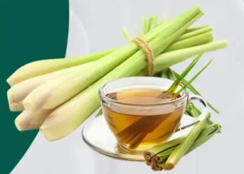 Delicious herb: From skin cleansing to immunity boost, there are many benefits of consuming 'lemon grass'.