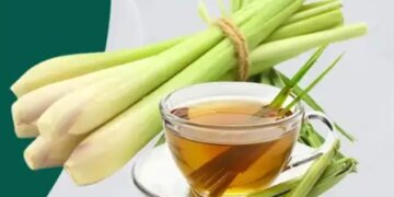 Delicious herb: From skin cleansing to immunity boost, there are many benefits of consuming 'lemon grass'.
