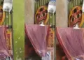 'Desi Jugaad' goes viral in scorching heat, young man makes temporary AC with wet towel and fan