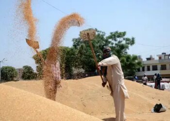 Despite changes in weather, wheat production in the country is stable and strong: Central Government
