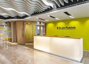 Dr. Lal Pathlabs' fourth quarter profit declined by 15.2 percent