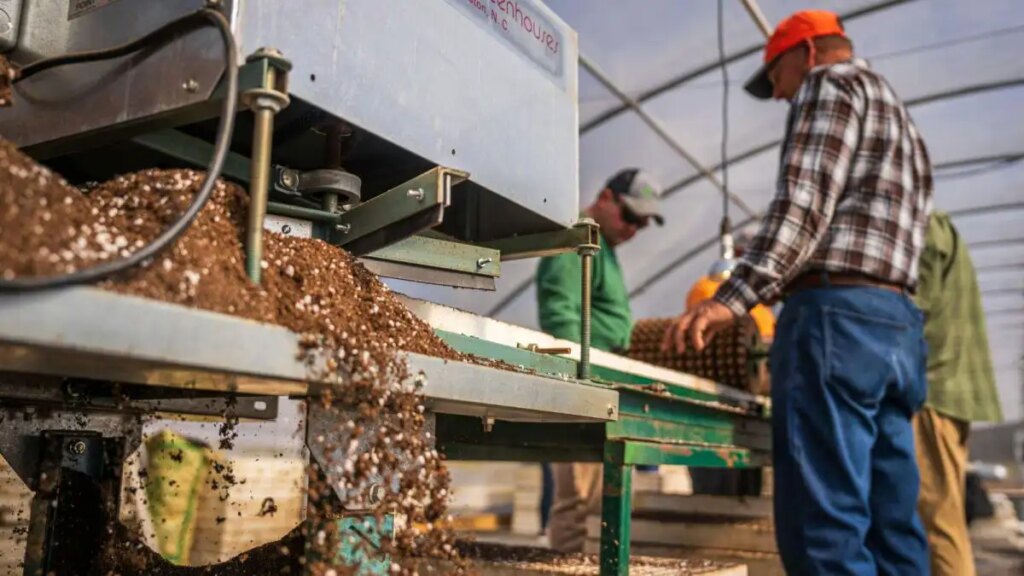 Effect of Middle East war, fertilizer production in India decreased by 24.6% in March, see in the footage what are the reasons and what will be its effect on the country.
