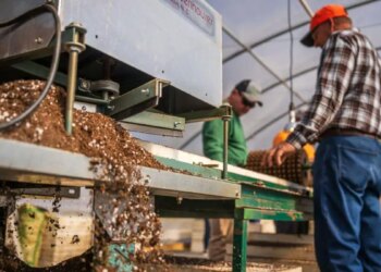 Effect of Middle East war, fertilizer production in India decreased by 24.6% in March, see in the footage what are the reasons and what will be its effect on the country.