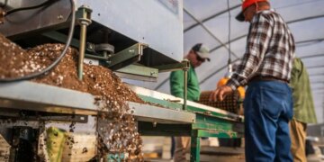 Effect of Middle East war, fertilizer production in India decreased by 24.6% in March, see in the footage what are the reasons and what will be its effect on the country.
