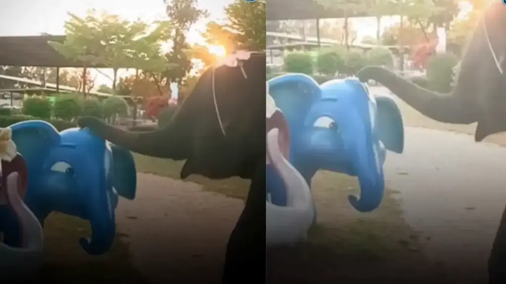 Emotional moment of real elephant and dummy elephant, clip discussed on social media
