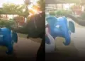 Emotional moment of real elephant and dummy elephant, clip discussed on social media