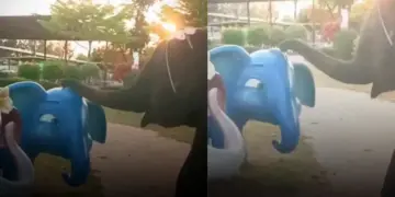 Emotional moment of real elephant and dummy elephant, clip discussed on social media